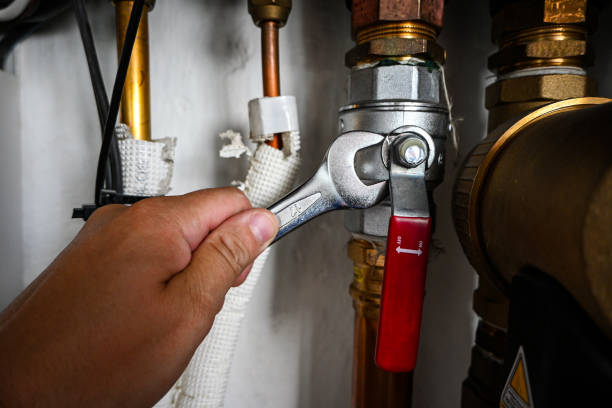 Best Clogged Drain Plumber  in El Macero, CA